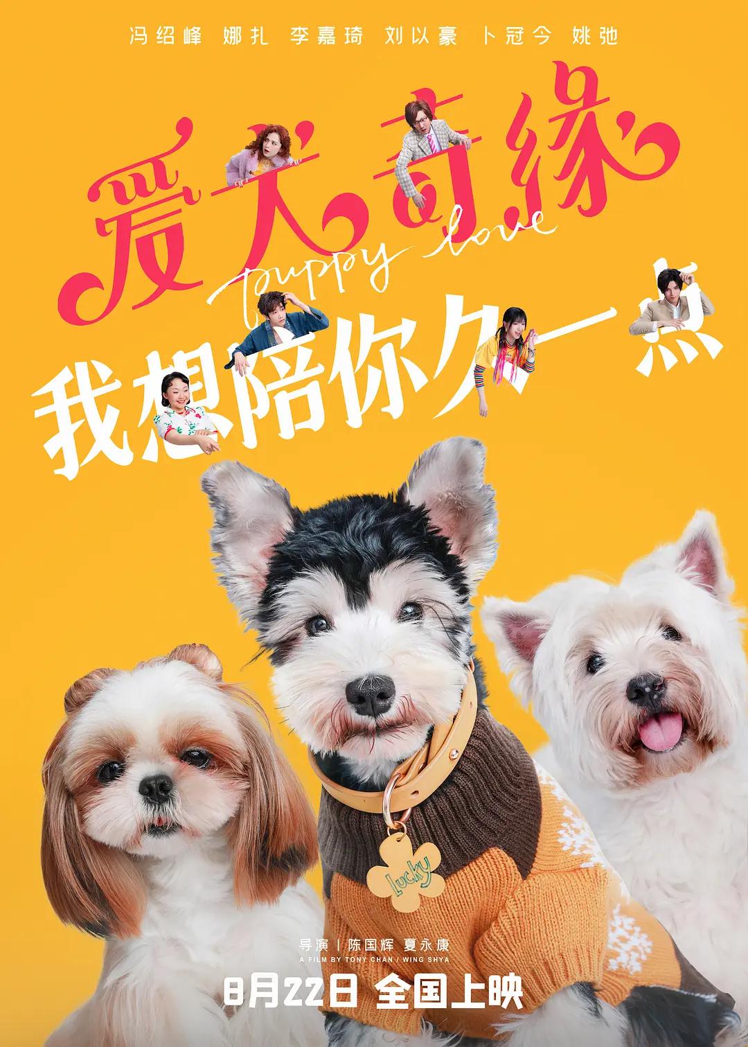黄色视频图片(🦓)