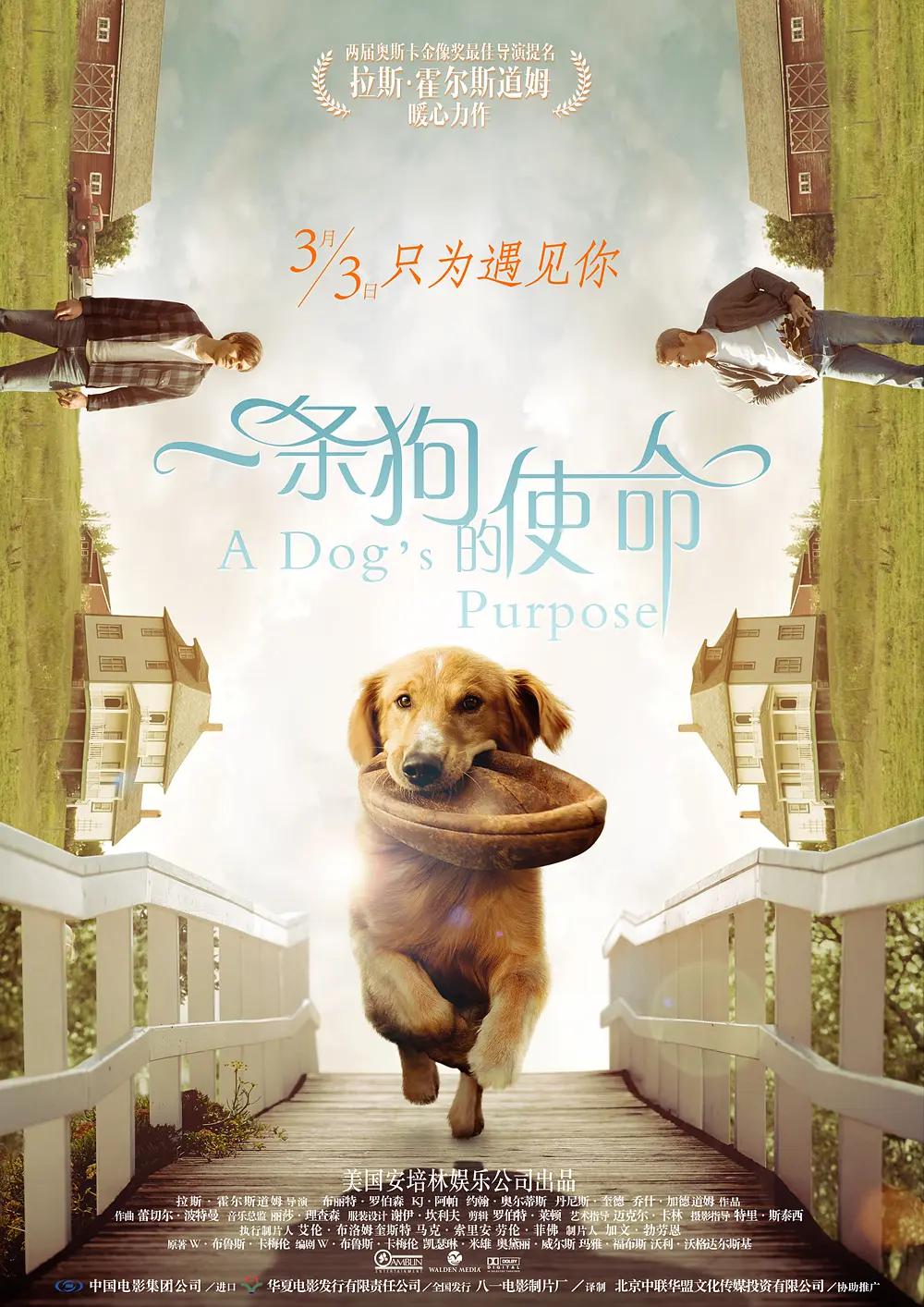 差差答答高清在线观看(💗)