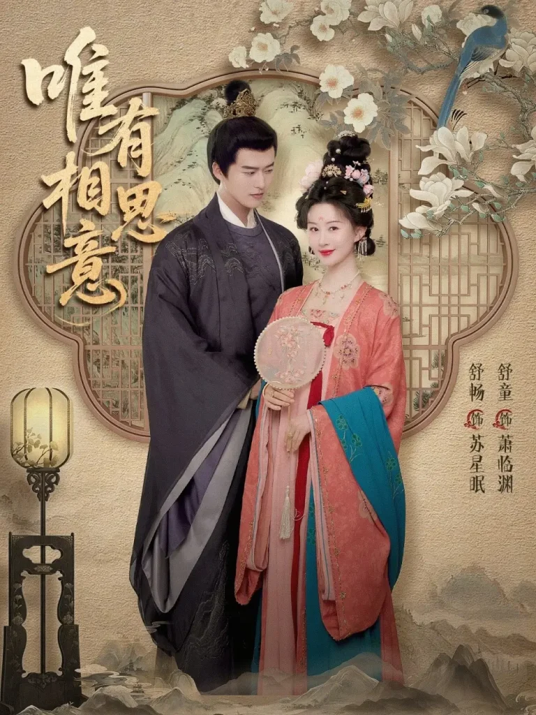 《唯有相思意》全集高清完整版在线观看与剧情解析