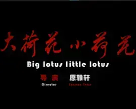 《大荷花小荷花》全集高清完整版在线观看与剧情解析