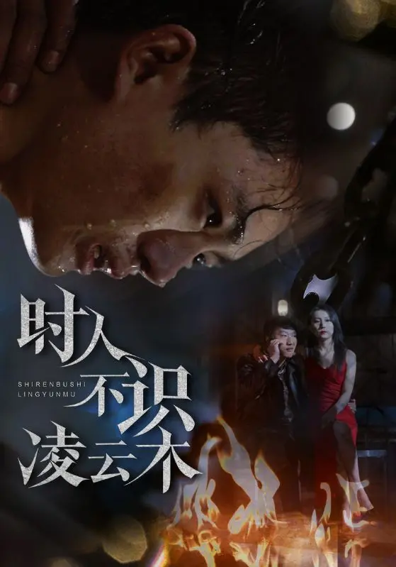 《时人不识凌云木》全集高清完整版在线观看与剧情解析