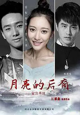 《月亮的后裔》全集高清完整版在线观看与剧情解析