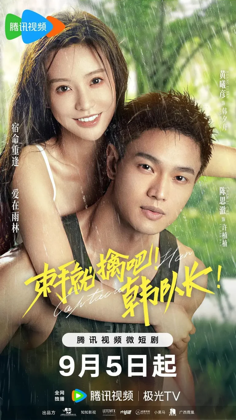 《束手就擒吧！韩队长！》全集高清完整版在线观看与剧情解析