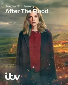 洪水之后第二季