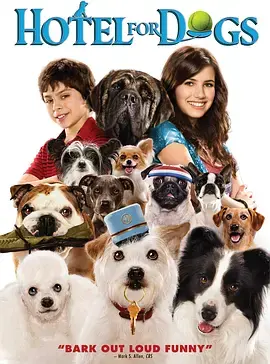 《狗狗旅馆》全集高清完整版在线观看与剧情解析