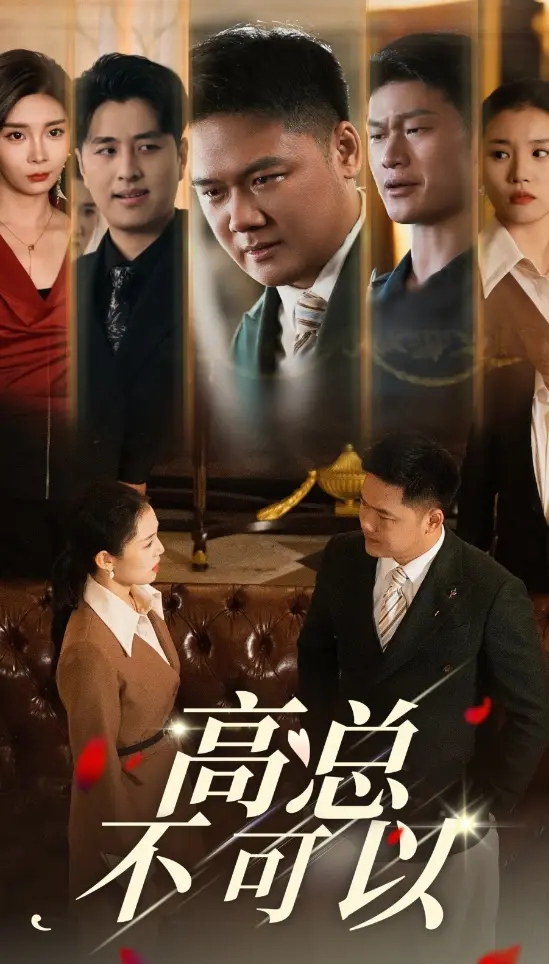 《高总不可以》全集高清完整版在线观看与剧情解析
