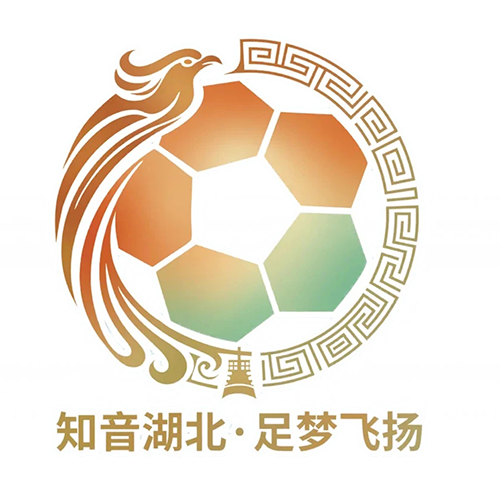 湖北省城市足球联赛 黄石美尔雅队VS潜江龙虾队20260620