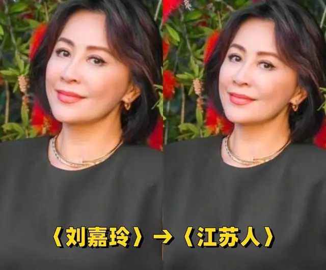 刘嘉玲黎明郑佩佩等港剧经典面孔祖籍均在内地 - 现场图